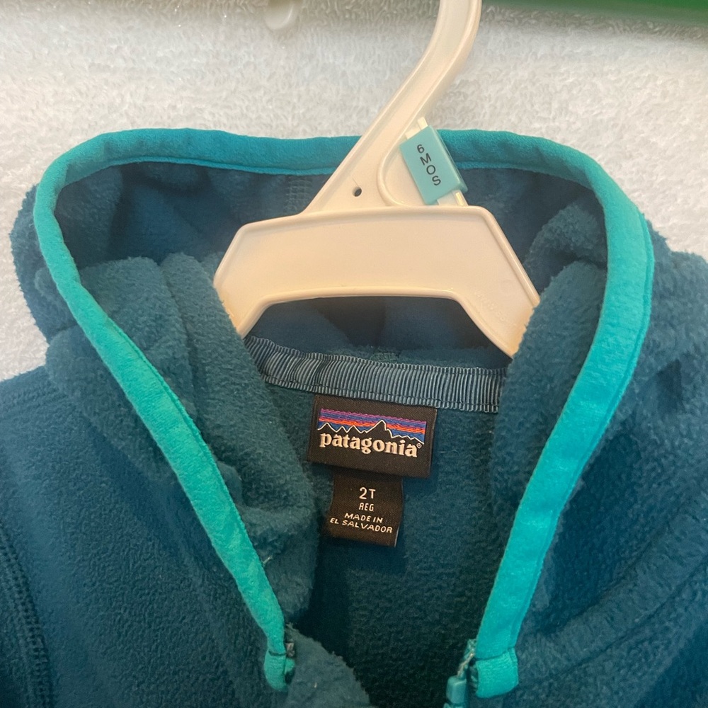 Patagonia Deep Teal Hooded Fleece